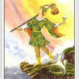 Meet your Posher, Paul